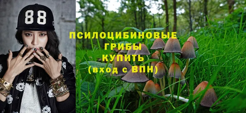 Галлюциногенные грибы MAGIC MUSHROOMS  наркошоп  мориарти наркотические препараты  Невель 